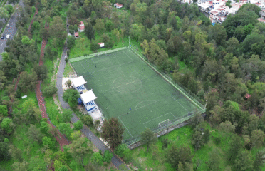 Tepichines Soccer