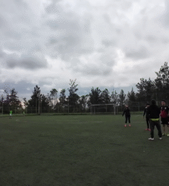 Tepichines Soccer