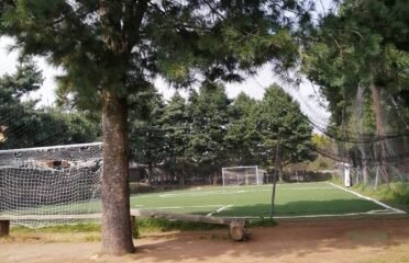 Unión F.C